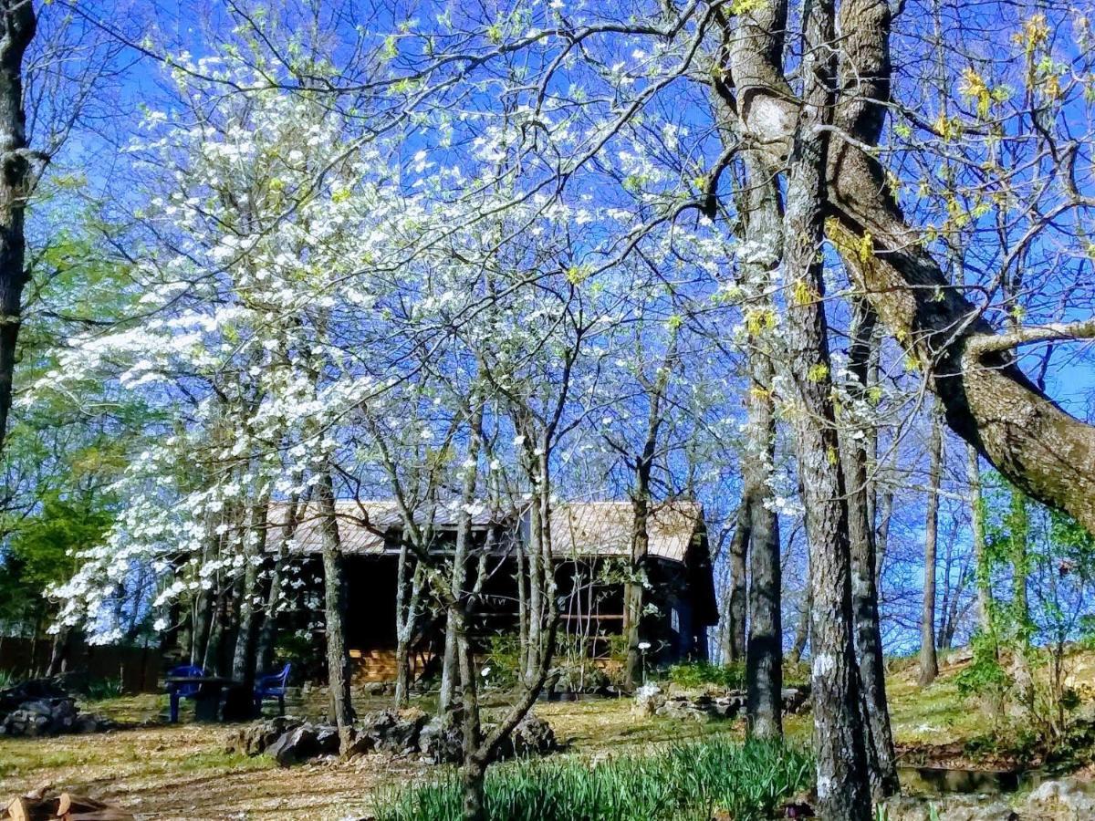 Chalet Cherokee Mountain Log Eureka Springs