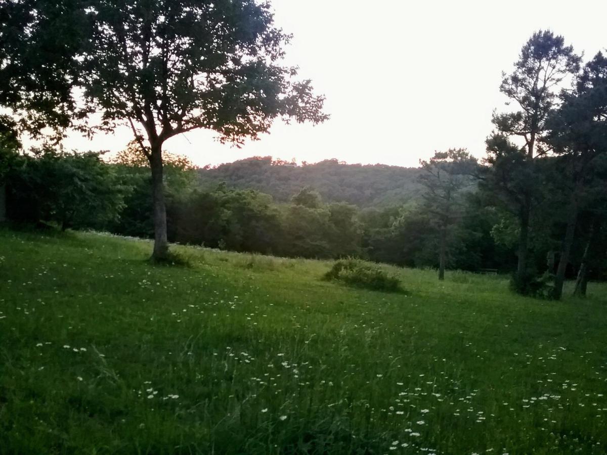 Cherokee Mountain Log *